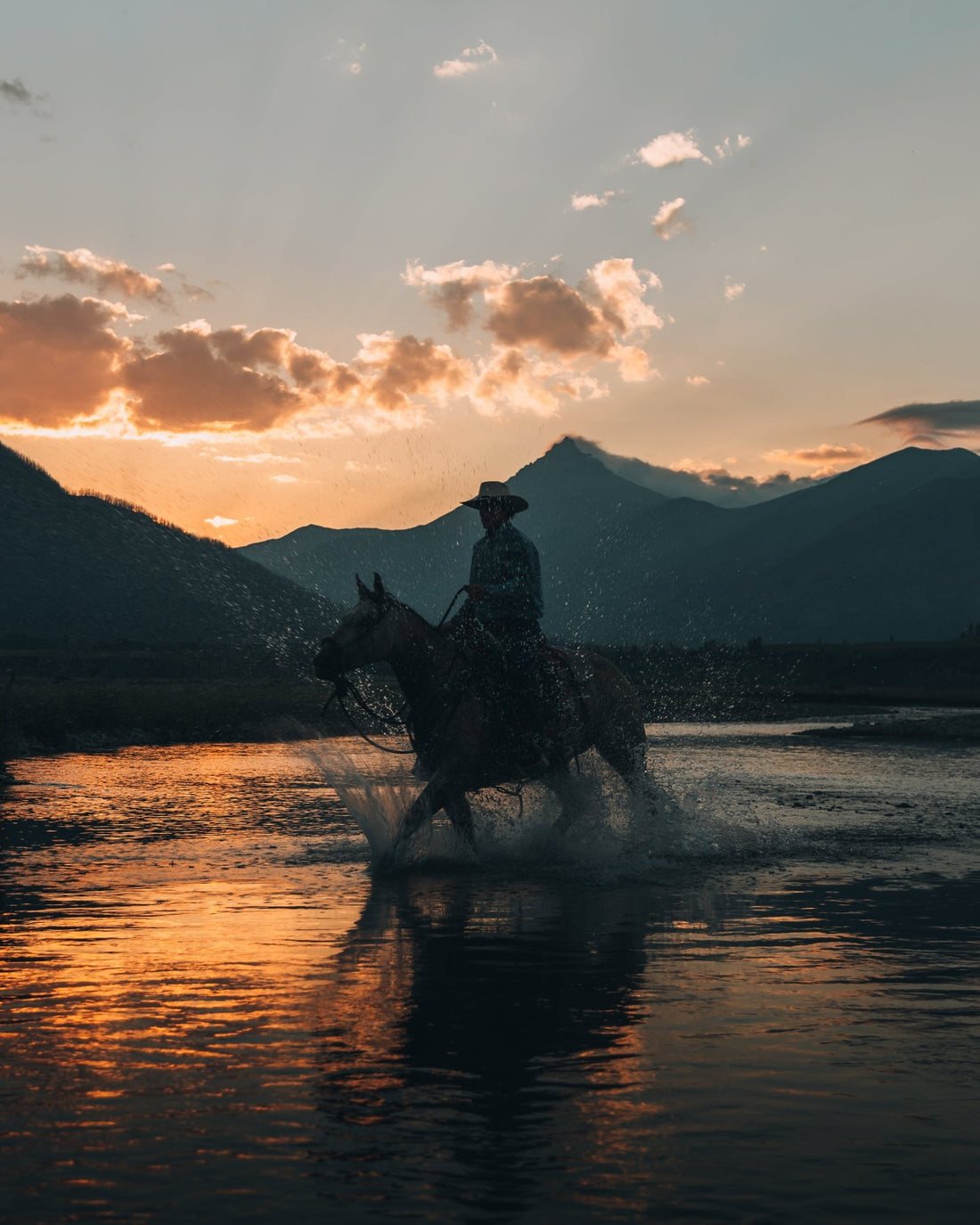 Yellowstone Gentleman - Arcfomor®